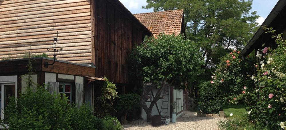 Appartement Le Séchoir du Ried à Rossfeld Extérieur photo