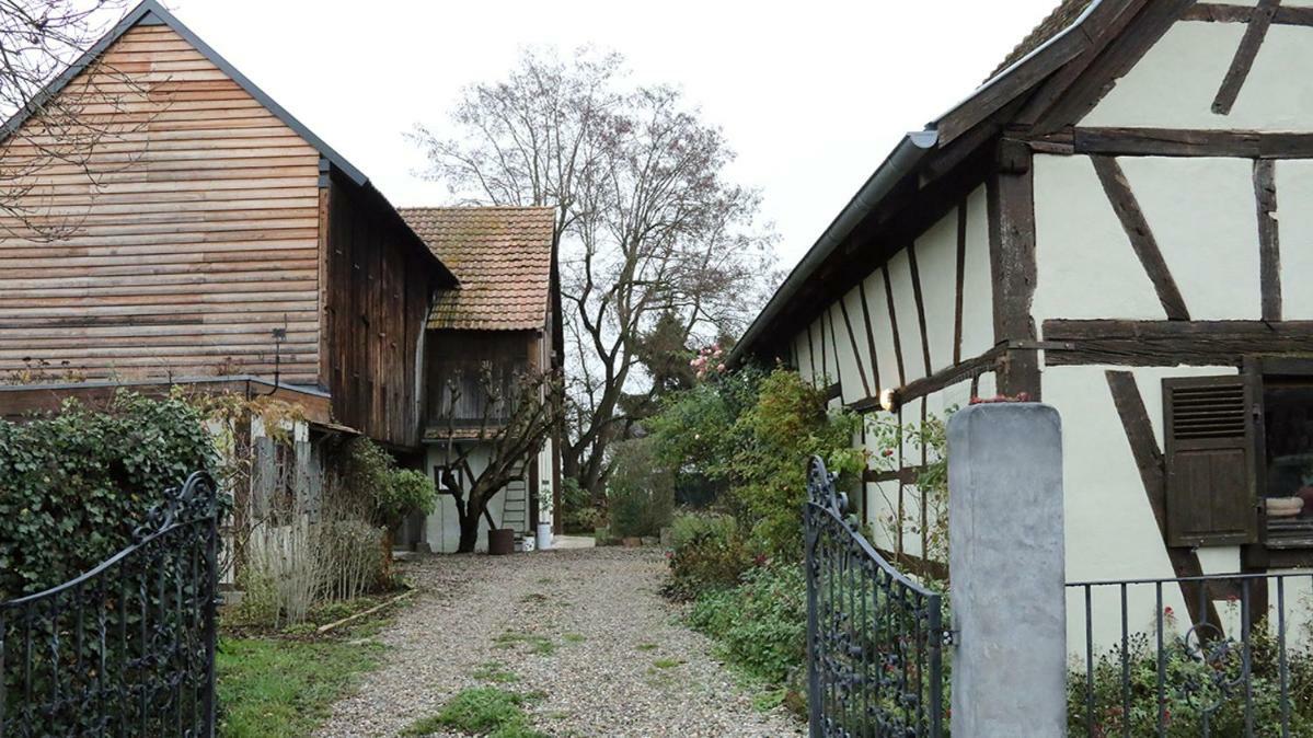 Appartement Le Séchoir du Ried à Rossfeld Extérieur photo